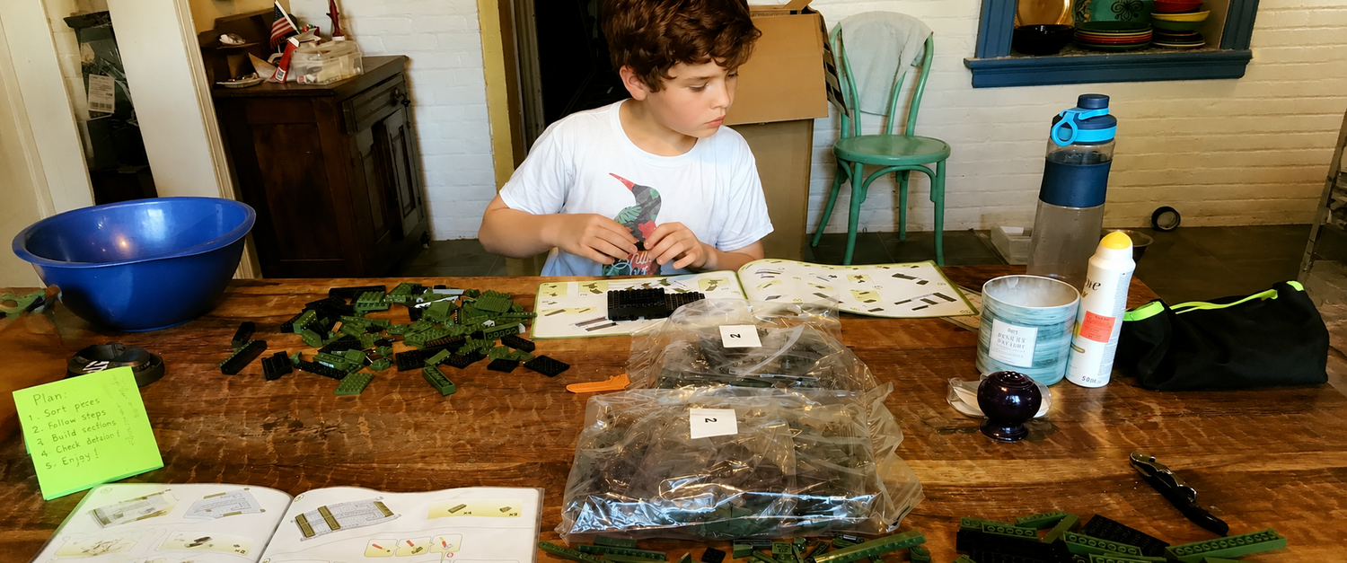 The Psychological Benefits of Staying Organized When Building a COBI Set