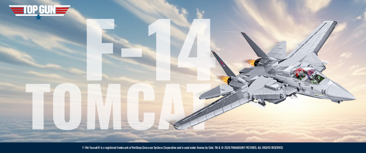 Why Did the F-14 Tomcat Become a Legend?